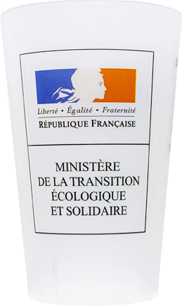 re╠üpublique-franc╠ºaise